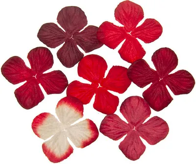Produktbild von HORTENSIONEN Papierblumen, rot Mix 25mm - 100 Stück