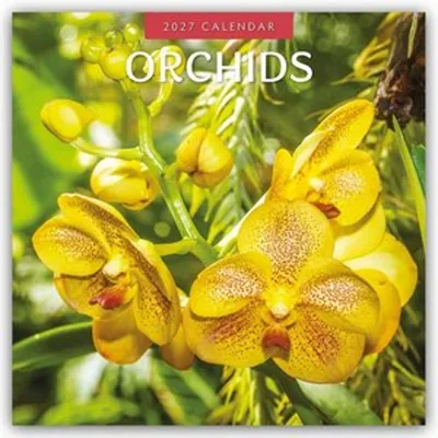 Produktbild von Orchids - Orchideen 2027 - 16-Monatskalender