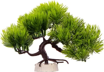 Obrázek produktu pro Kruger Meier Rostlina Borovice Bonsai - umělá rostlina