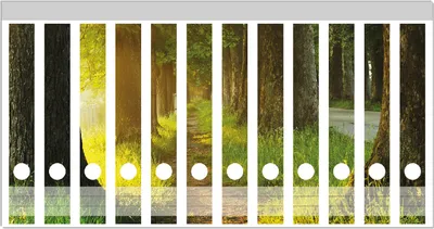 Produktbild von Wallario Ordnerrücken Sticker, selbstklebend für schmale Ordner, 12 Stück, Motiv Allee bei Sonnenuntergang