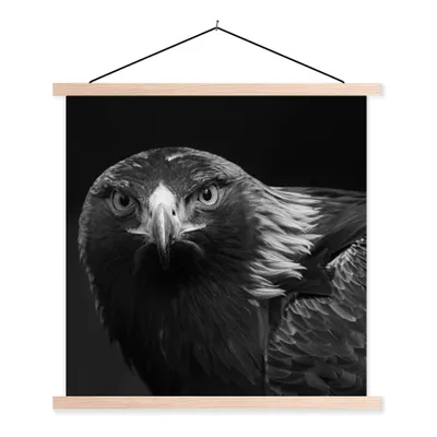 Produktbild von MuchoWow® Textilposter Bussard - Vogel - Tiere - Schwarz - Weiß 60x60 cm mit holzfarbenen Rahmen - Wanddekoration