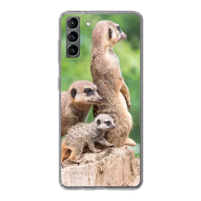 Produktbild von MuchoWow® Handyhülle Schutzhülle Hülle für Samsung Galaxy S21 Plus Erdmännchen - Baumstumpf - Jungtier Silikon Softcase Handy Hülle - Handy-Tasche