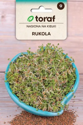 Zdjęcie produktu dla Nasiona na kiełki Rukola - Toraf 333