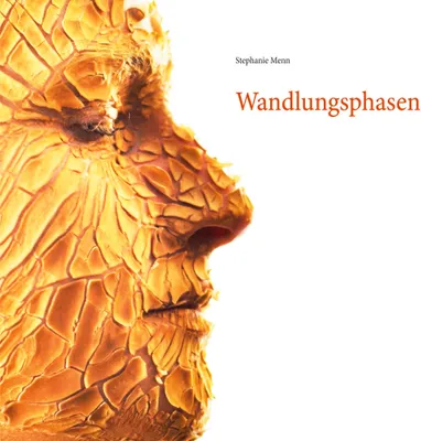 Produktbild von Wandlungsphasen