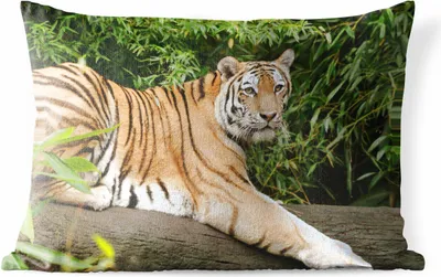 Produktbild von MuchoWow® Outdoor Kissen - Tiger - Baum - Blätter - 50x30 cm - Wetterfest - Lounge Kissen - Sofa kissen - Wohnzimmer Dekoration