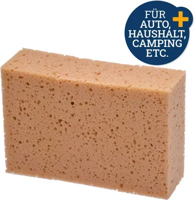 A rectangular sponge with a circular overlay in the upper right corner.