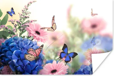 Produktbild von MuchoWow® Poster Schmetterlinge - Blumen - Hortensie - Insekten 120x80 cm - Bilder