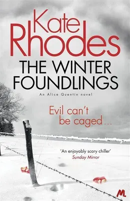 Produktbild von The Winter Foundlings