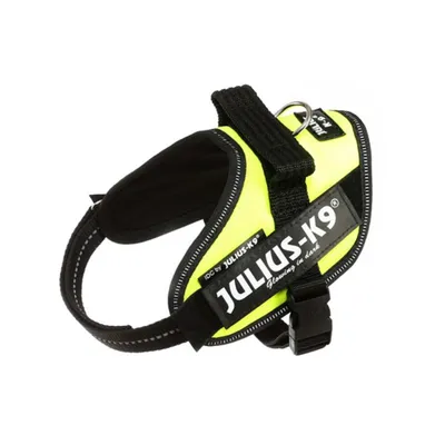 Image de Julius K9 IDC Power harnais Mini Mini vert fluo 16IDC-NE-MM