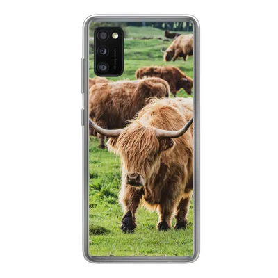 Produktbild von MuchoWow® Handyhülle Schutzhülle Hülle für Samsung Galaxy A41 Schottische Highlander - Tiere - Gras Silikon Softcase Handy Hülle - Mobiltelefon