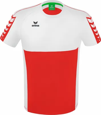 Image de T-shirt Erima Six Wings Multicolore