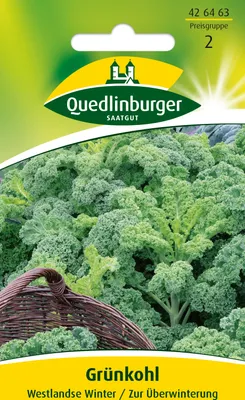 Produktbild von Grünkohl 'Westlandse Winter' Quedlinburger Gemüsesamen