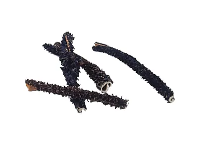 Produktbild von Nobby Rinderpansen : 1000g Inhalt: 1000g