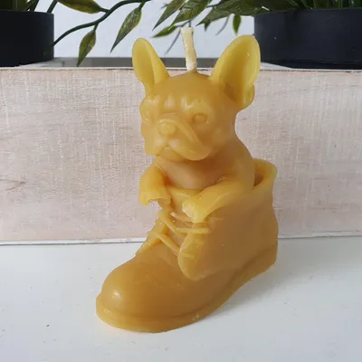 Produktbild von Bienenwachskerze Hunde Kerze Bulldogge im Schuh 8 cm