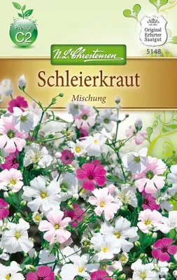Produktbild von Schleierkraut Mischung | Blumensamen von N.L. Chrestensen