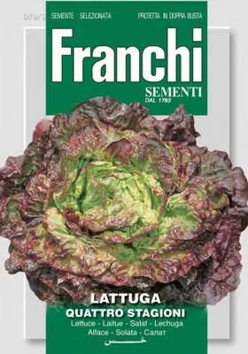 Artikelbild 2 von 'Salat Quattro Stagioni' aus der Kategorie Salatsamen