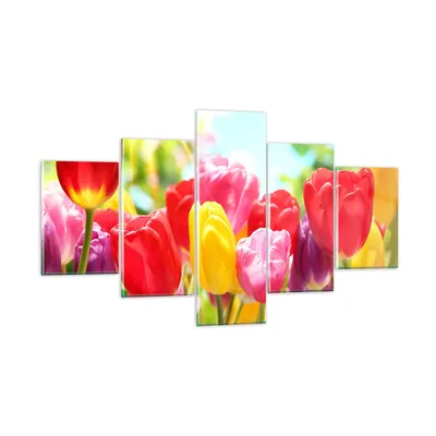 Produktbild von Bilder auf glas - Tulpe Blume Garten Plantage - 125x70cm - Glasbilder - Wandbilder - Kunstdruck - zum Aufhängen bereit - Wanddekoration aus Glas - Glas Bilder - Wandbild auf Glas - GEA125x70-2466