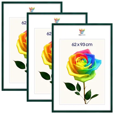 Produktbild von MG Design 3er Set Bilderrahmen Grün 62x93 cm - Posterrahmen Echtholz mit Acrylglas, verstärkte Wandaufhängung, hoch/quer