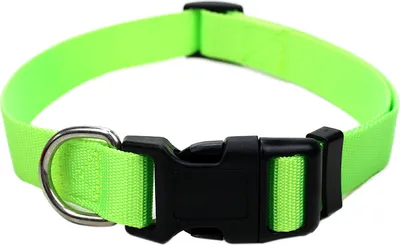 Produktbild von Robustes Hundehalsband aus Nylon – stufenlos verstellbar, leicht & bequem – für Welpen, kleine & große Hunde – S, M & L Größe S neongrün