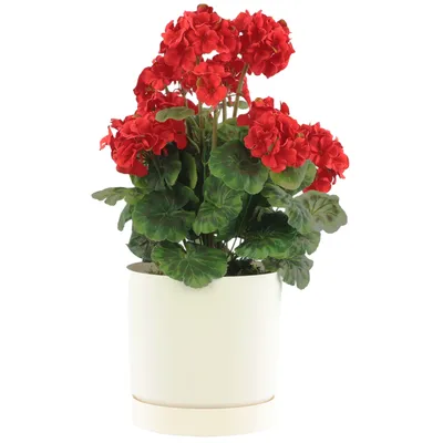 Produktbild von Blumentopf mit Untersetzer Ø39 cm Höhe 37,5 cm Rund Matt Modern Glatt Modisch Farbe Weiß -stilvolle und langlebige Inner-heimdekoration Gehäuse