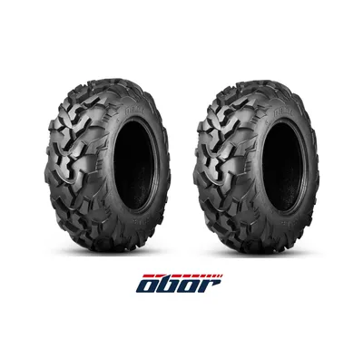 Produktbild von 2x 25x8-12 RIPLE 25x8.00-12 Reifen für Quad UTV ATV Geländereifen