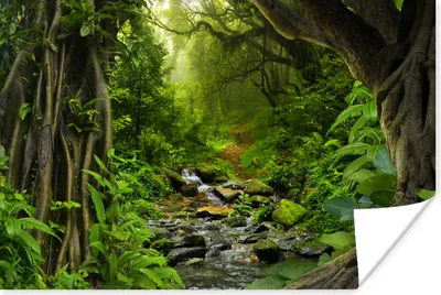 Produktbild von MuchoWow® Poster Natur - Wasser - Dschungel - Wald - Tropisch 120x80 cm - Bilder
