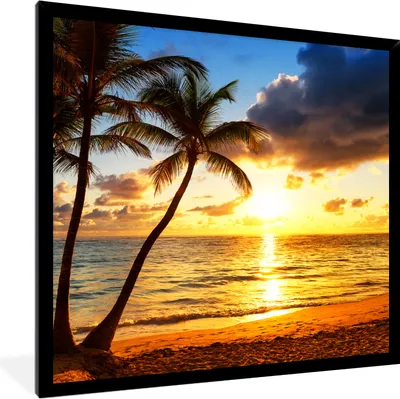 Produktbild von MuchoWow® Gerahmtes Poster Strand - Horizont - Sonnenuntergang - Palme - Meer 40x40 cm - Poster mit Schwarzem Bilderrahmen Wandposter Rahmen Foto Bilder - Mit Rahmen - Wanddekoration Schlafzimmer