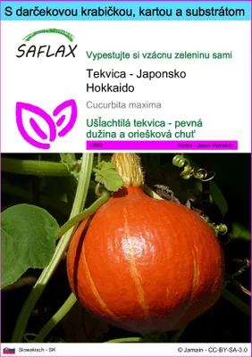 Obrázok produktu pre SAFLAX Darčeková sada - Tekvica - Japonsko Hokkaido - Cucurbita maxima - 10 Semená - S darčekovou krabičkou, prepravným štítkom, darčekovou kartou a pestovateľským médiom