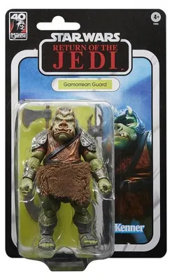 Produktbild von Hasbro F6856 STAR WARS The Black Series Gamorrean Guard