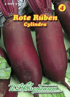 Produktbild von Rote Rübe Cylindra | Rote Beetesamen von N.L. Chrestensen