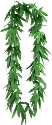 Image de Couronne hawaïenne Highwaii vert 50 cm