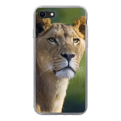 Produktbild von MuchoWow® Handyhülle Schutzhülle Hülle für iPhone 8 Porträt - Löwe - Wild Silikon Softcase Handy Hülle - Schutzhaube