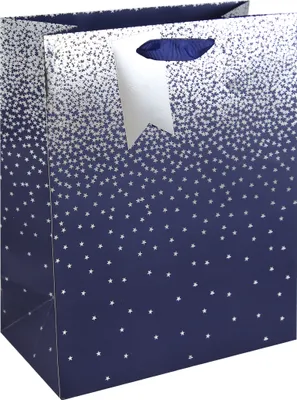 Produktbild von Clairefontaine 6x Geschenktasche L, 26,5x14x33 cm - Blau 30861-2C