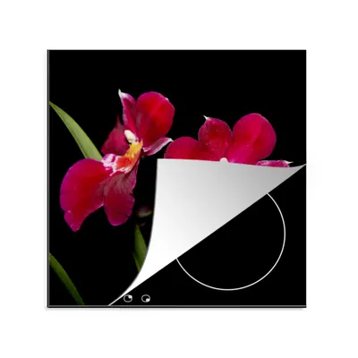 Produktbild von KitchenYeah© Herdabdeckplatte Rote Orchideen vor schwarzem Hintergrund , 78x78cm, Küche Deko, Glaskeramikkochfeld Herdabdeckung, Abdeckplatte fùr Kochfeld