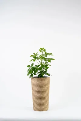 Produktbild von ADONI Handgefertigter Jute-Blumentopf mit Einsatz (36 cm) – Dekorativer Boho-Übertopf für Zimmerpflanzen, Natur/Beige