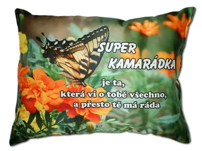 Obrázek produktu pro Polštář s nápisem Super kamarádka