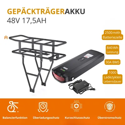 Produktbild von 48V 17.5Ah eBike Akku – 840Wh Hailong Batterie mit BMS & Schutzsystem