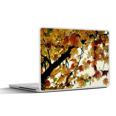 Produktbild von MuchoWow® Laptop Aufkleber Sticker Cover Bäume - Herbstblätter - Natur 40x30 cm - Laptop Dekoration - Selbstklebend