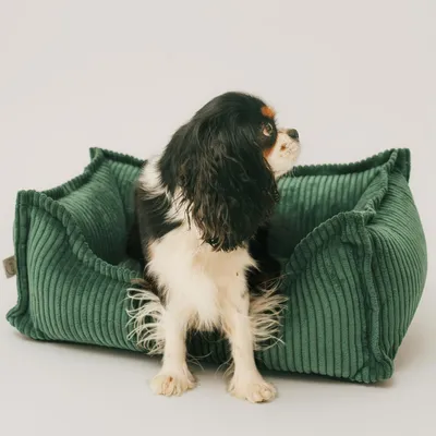 Produktbild von 4L Textil HUGO Orthopädisches Hundebett aus Cord Premium-LINE Hundekorb mit Bezug (60x40 cm, Grün)