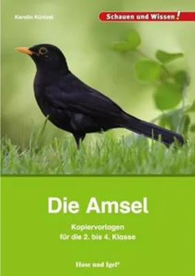 Image de Die Amsel - Kopiervorlagen für die 2. bis 4. Klasse