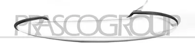Produktbild von PRASCO MN3048006 Türgriff Vorne Links für MINI Schrägheck (R56)