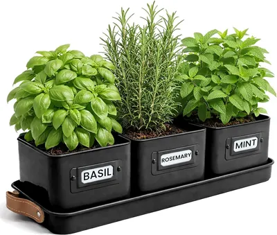 Produktbild von Kräutertöpfe mit Ledergriffen – ideal für Blumentöpfe