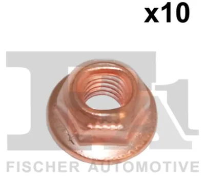 Obrázek produktu pro 10x matice FA1 988-0602.10