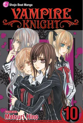 Produktbild von Vampire Knight, Vol. 10