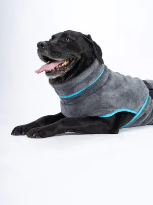 Produktbild von TrendPet Dampfhund Hundebademantel Gr. 08