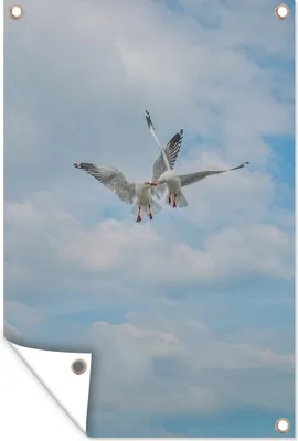 Produktbild von MuchoWow®