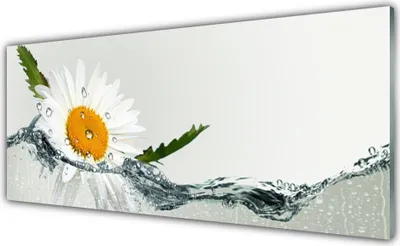 Produktbild von Acrylglasbilder 125x50 Wandbild Druck Gänseblümchen Wasser Kunst