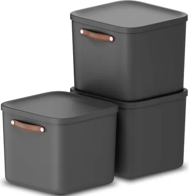 Produktbild von Rotho 3er-Set Aufbewahrungsbox 40L Maloja - Kunststoffbox mit Deckel - Stapelbox 39,5 x 38,0 x 34,0 cm - Plastikbox Ordnungsbox Allzweckkiste