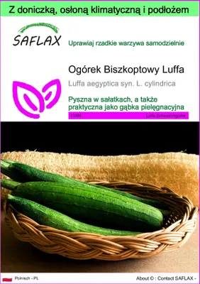 Zdjęcie produktu dla SAFLAX - Garden to go - Ogórek Biszkoptowy Luffa - 10 Nasiona - Z doniczką, pokrywą klimatyczną i podłożem do uprawy - Luffa aegyptica syn. L. cylindrica