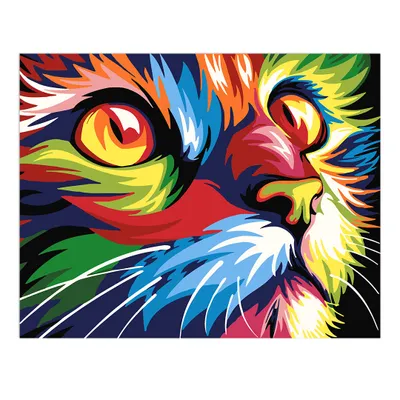 Produktbild von Painting BY NUMBERS WITH FRAME Bilder zum Malen - Farbige Katze 50 x 40 cm